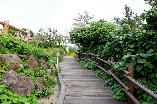 Haeansung Pension Seogwipo Exterior foto